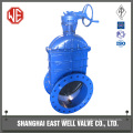 Fluoroplastic gate valve